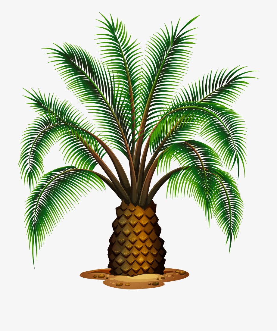 Tree pineapple production in. Oil clipart palm oil