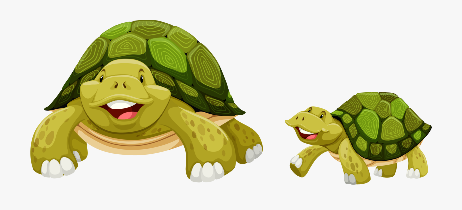 old clipart old tortoise