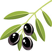 Olives clip art royalty. Olive clipart