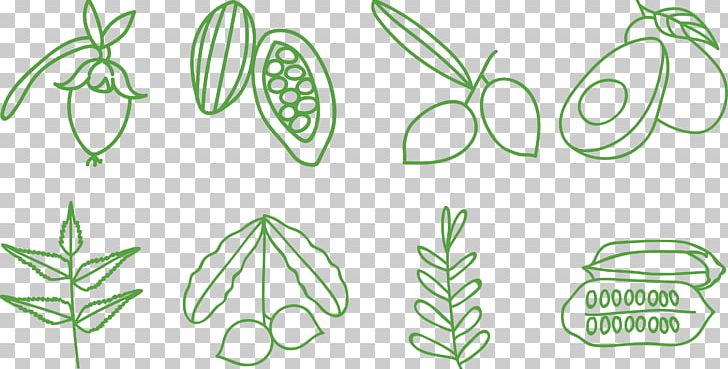 olive clipart abstract