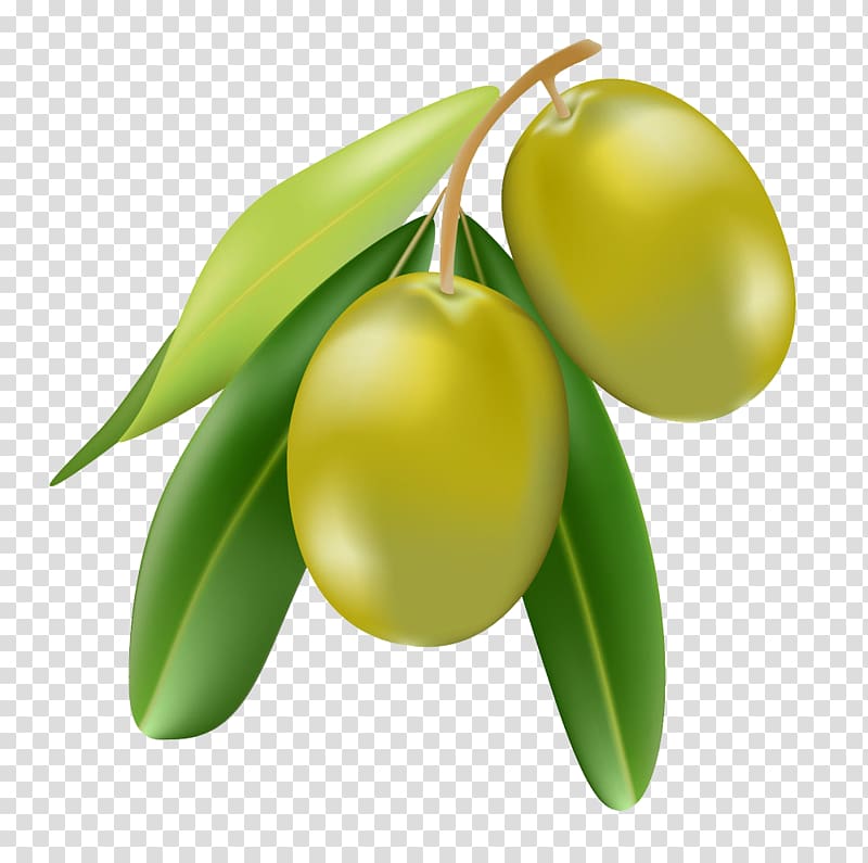olive clipart animated