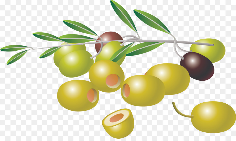olive clipart clip art