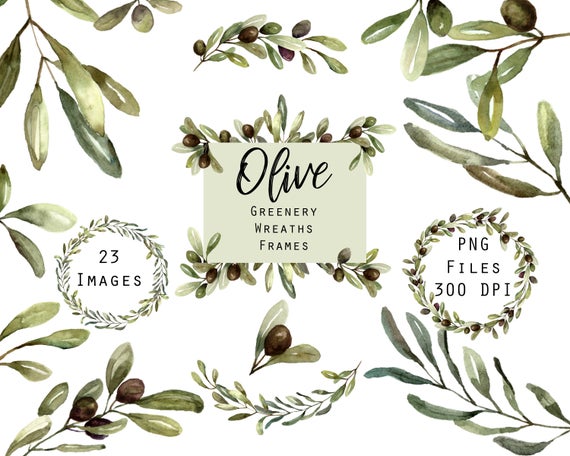 olive clipart frame