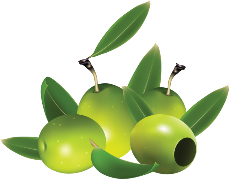 olive clipart jamun fruit