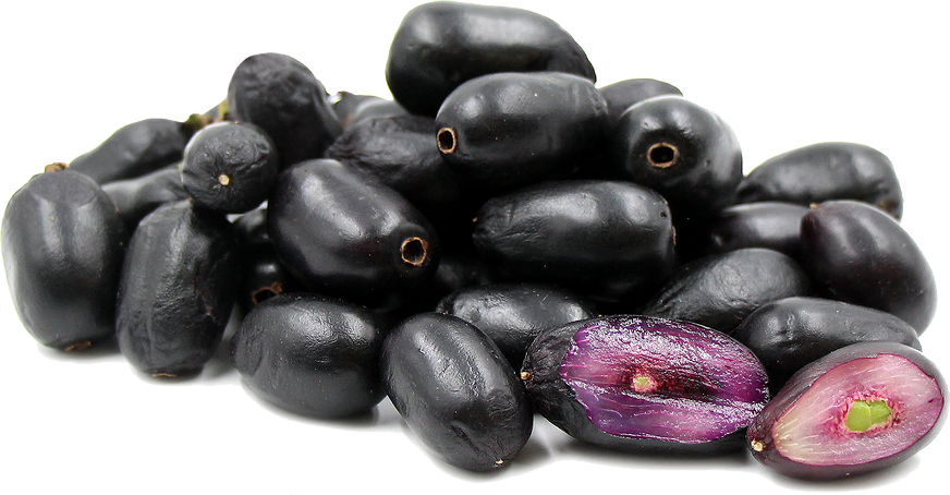 olive clipart jamun fruit