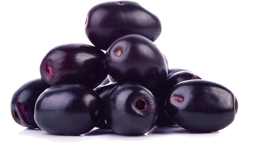 olive clipart jamun fruit