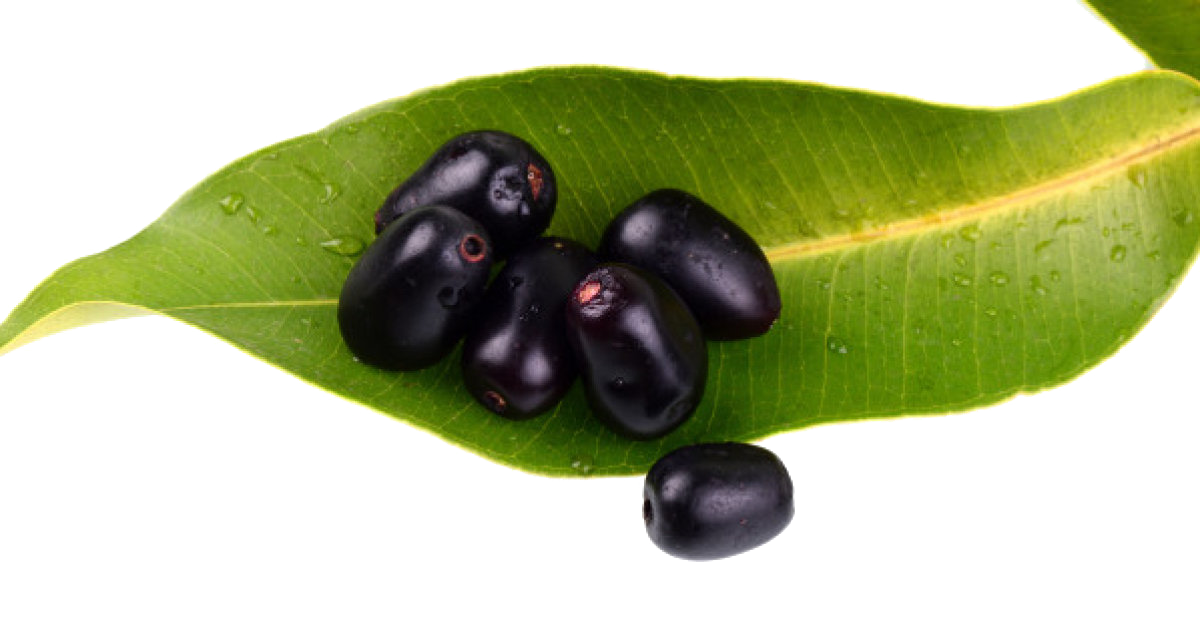 olive clipart jamun fruit