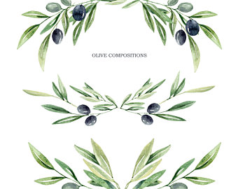 Olive Clipart Olive Branch Olive Olive Branch Transparent FREE For Download On WebStockReview