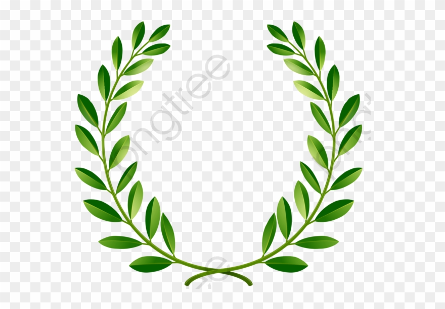 olive clipart olive wreath