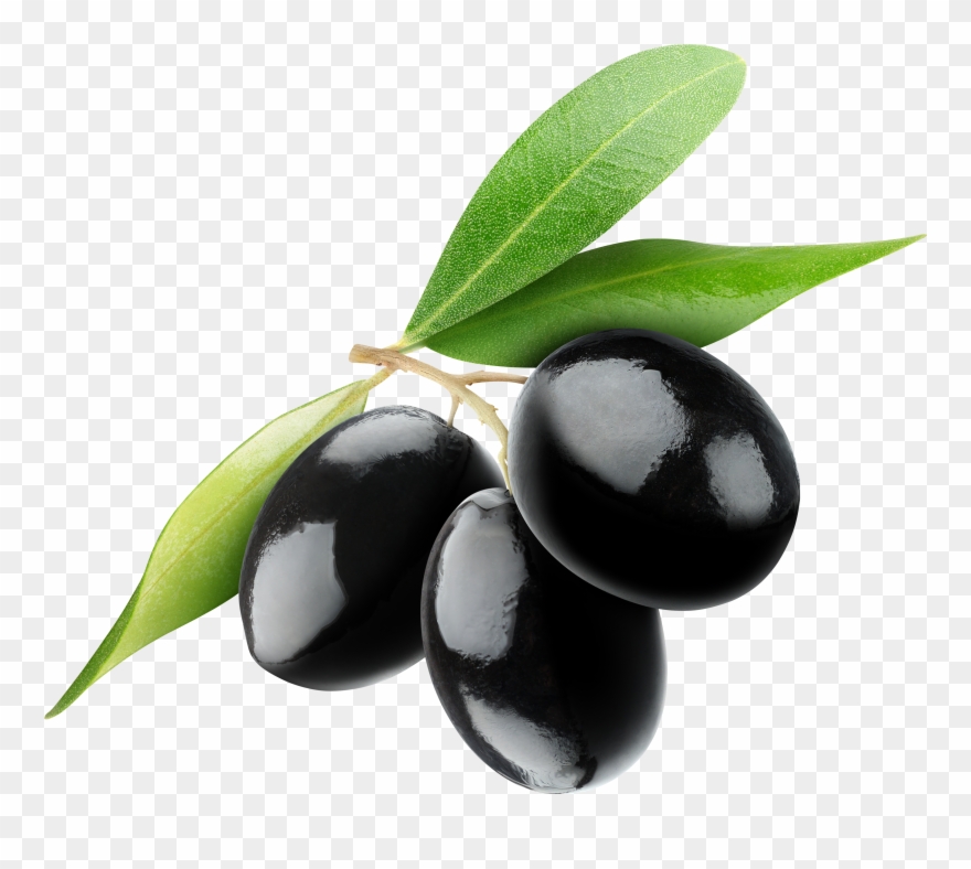 Olive clipart transparent. Image free download 