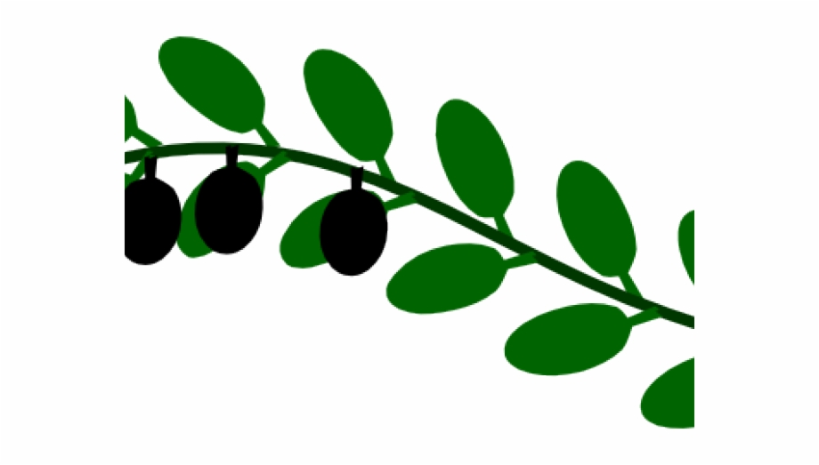 olive clipart vine