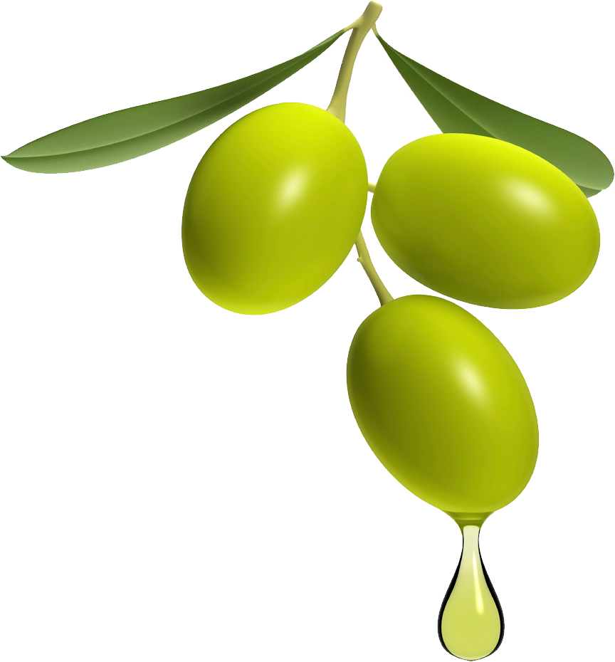 olive clipart you
