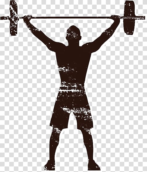 Olympic clipart olympic weightlifting. Weight training exercise squat