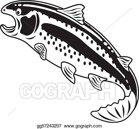 Vector rainbow trout color. One clipart clip art
