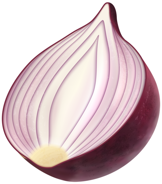 clipart face onion