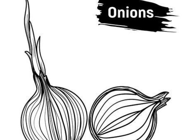 onion clipart bawang