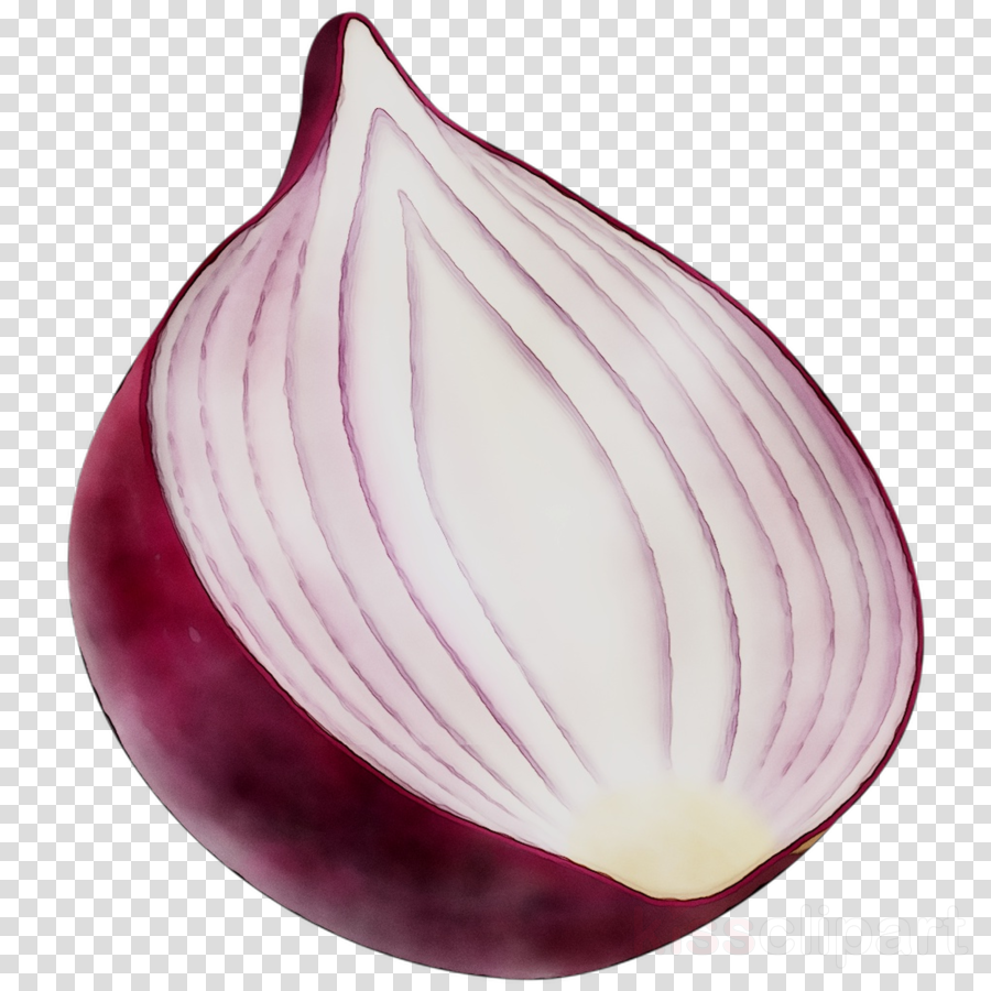 Onion clipart cartoon purple. Vegetable plant 