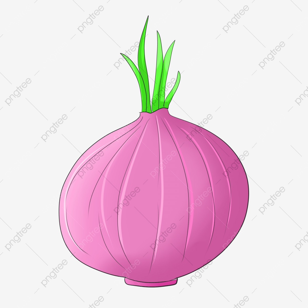 Onion clipart cartoon purple. Vegetable illustration 