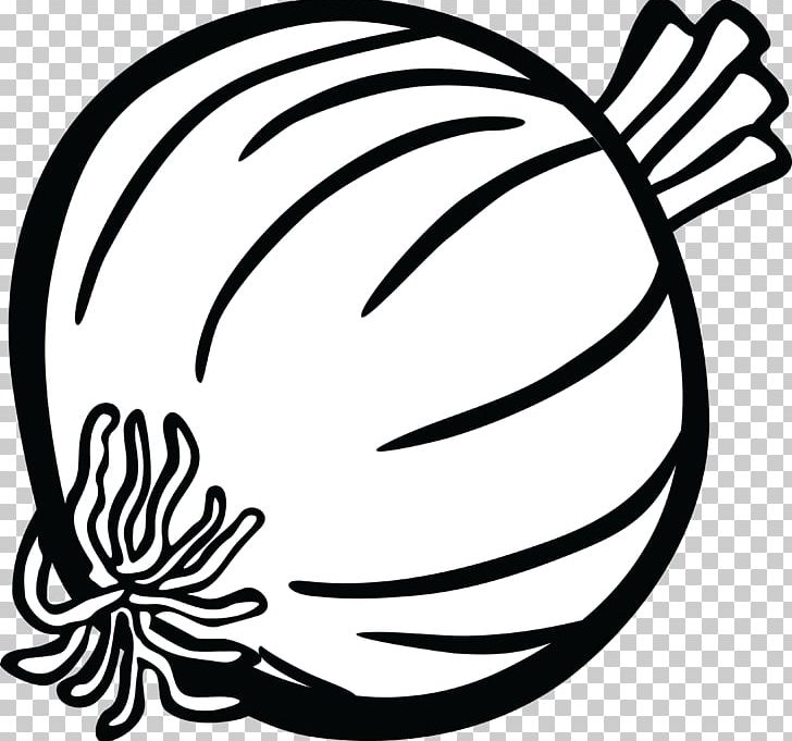 onion clipart drawing