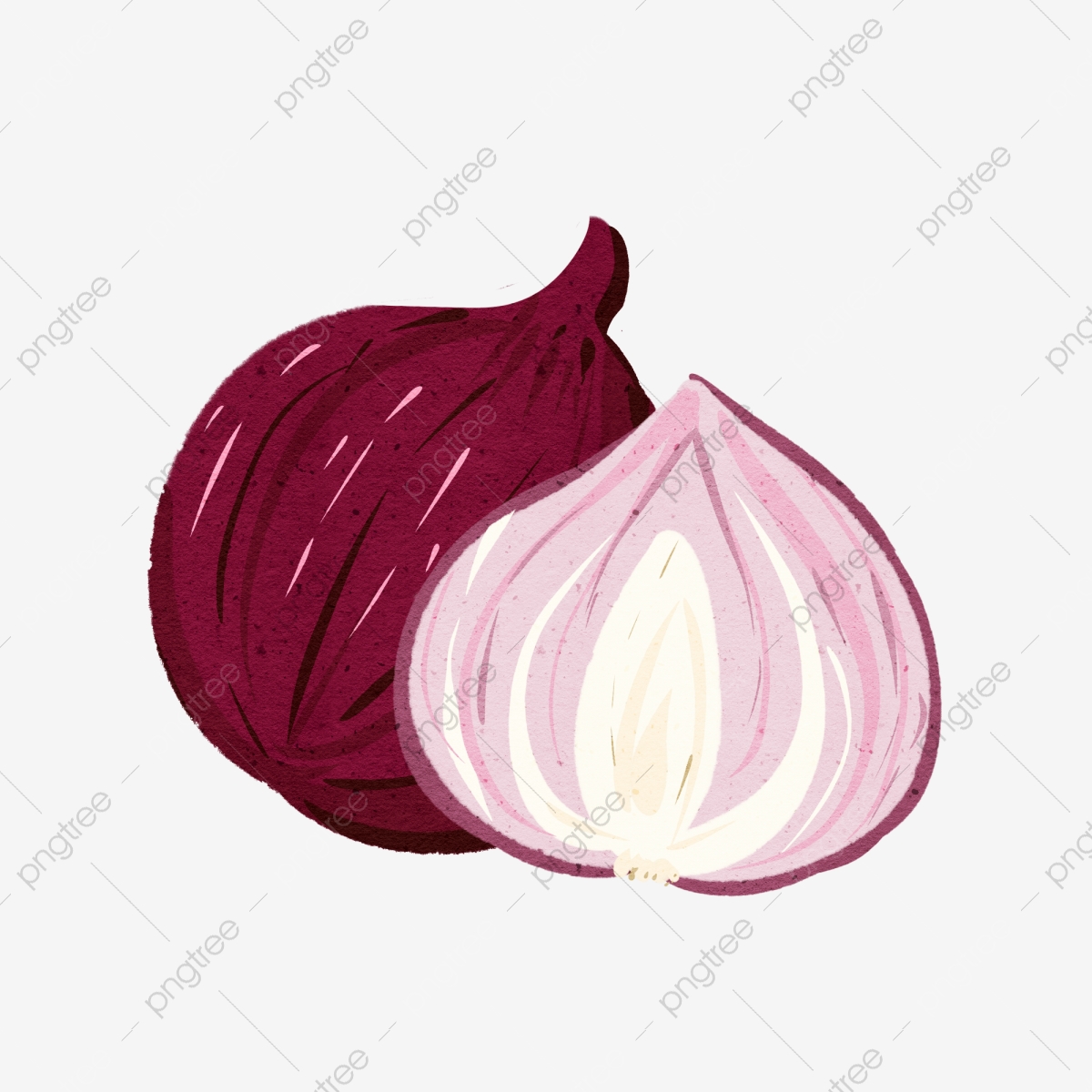 onion clipart file