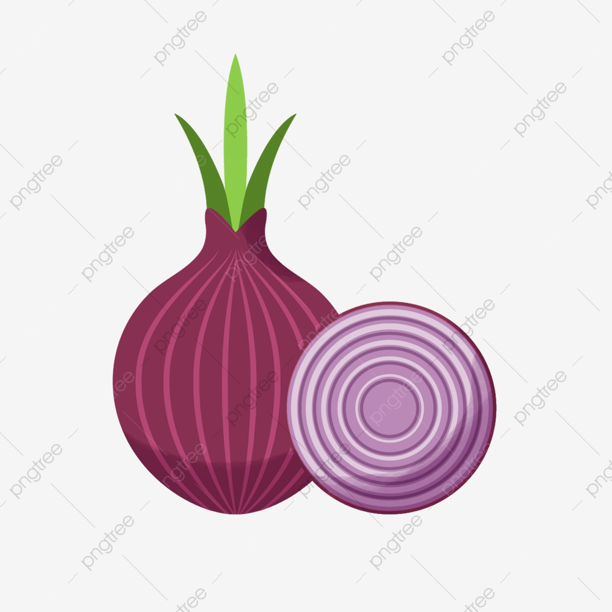 onion clipart fresh