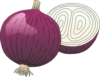 onion clipart fruit vegetable