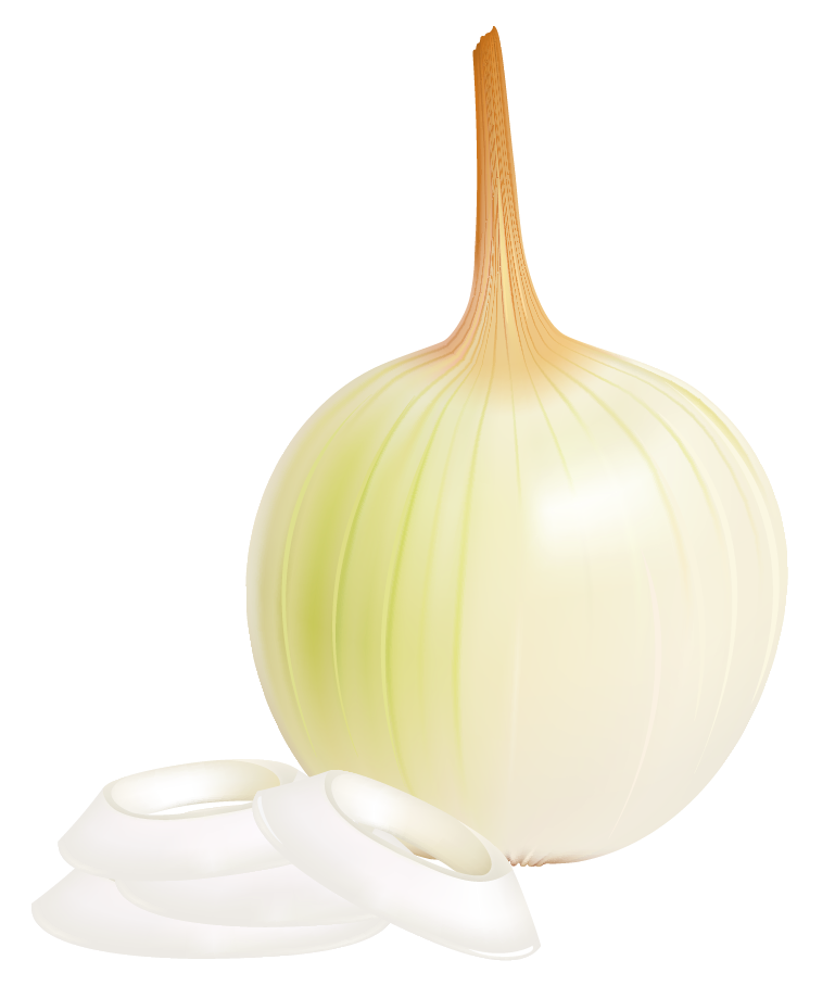 Onion clipart garlic onion. Png picture gallery yopriceville