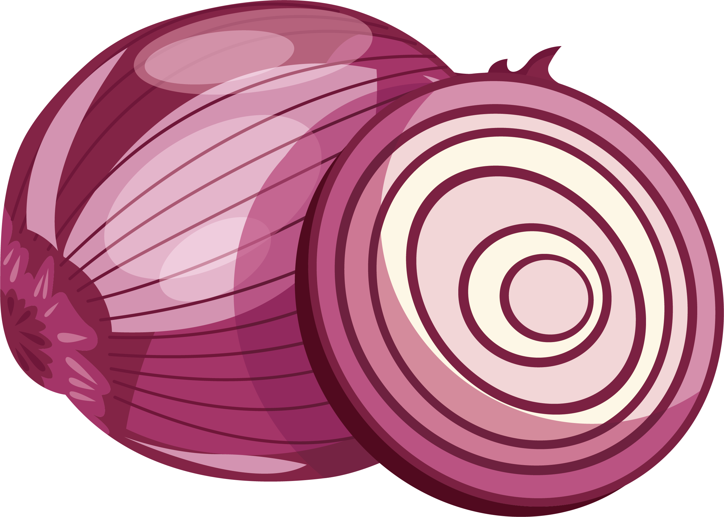 onion clipart old