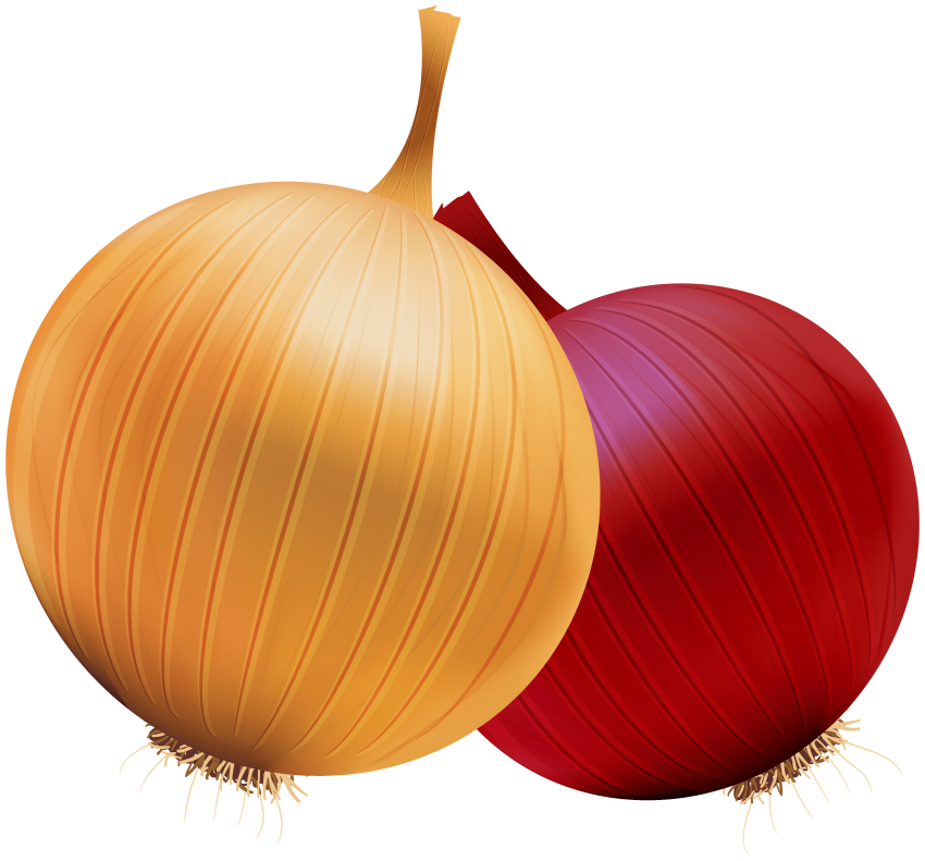Onion clipart onion slice, Picture 1781790 onion clipart onion slice