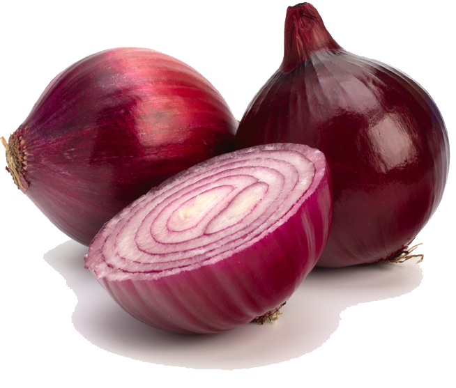 onion clipart onion slice