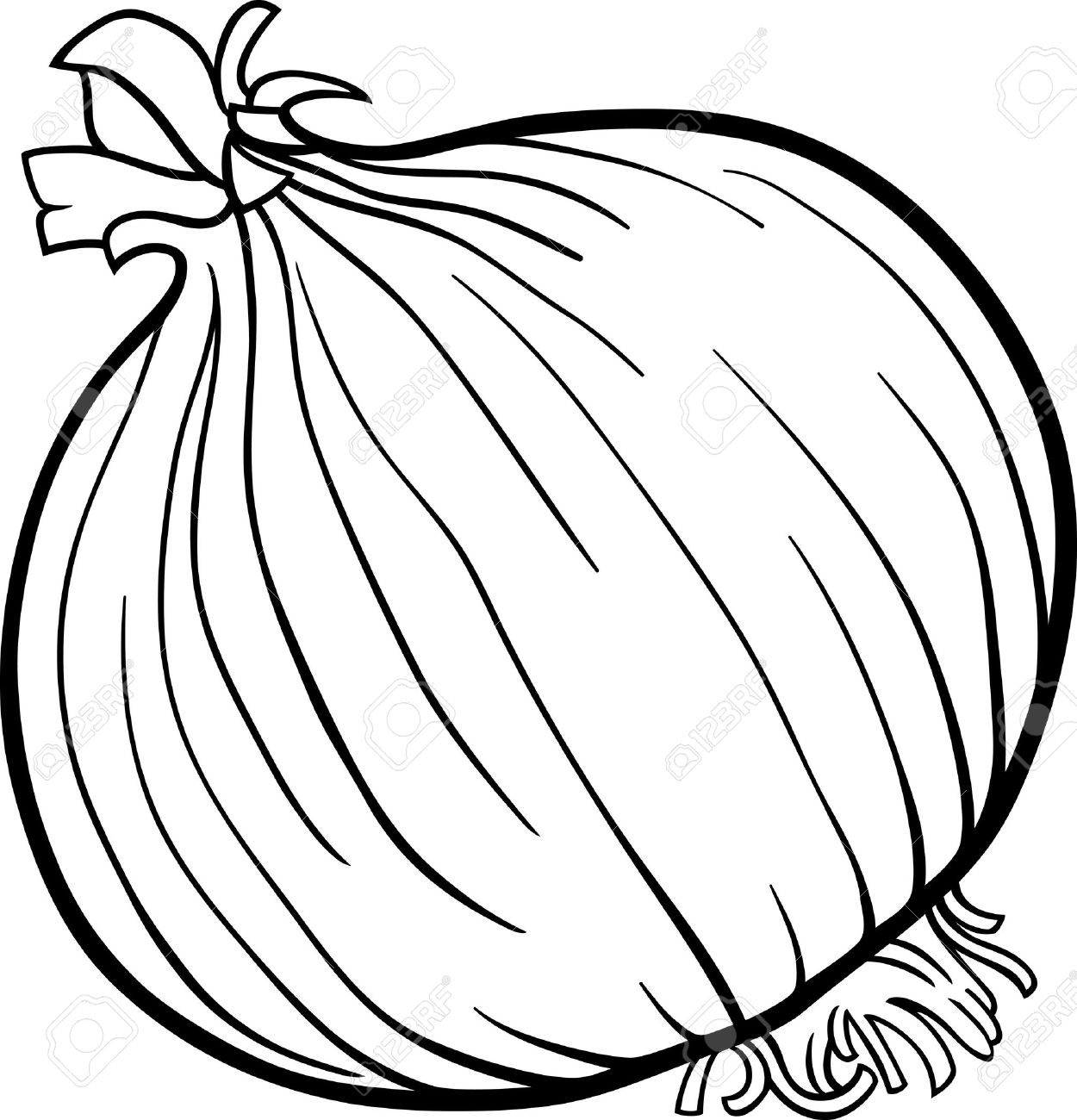 onion clipart outline