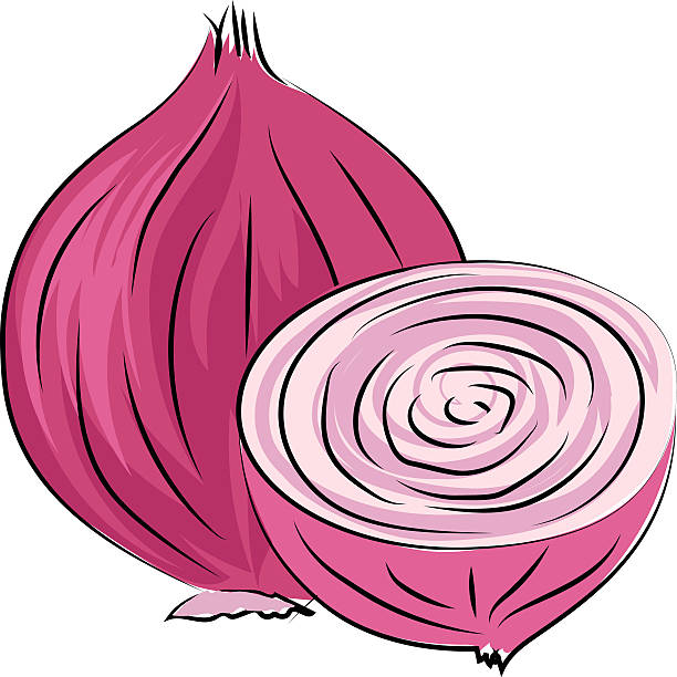 onion clipart pickled onion