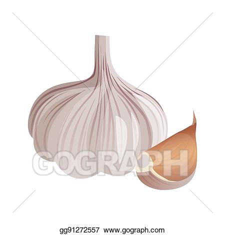onion clipart pungent