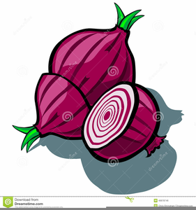 onion clipart purple food