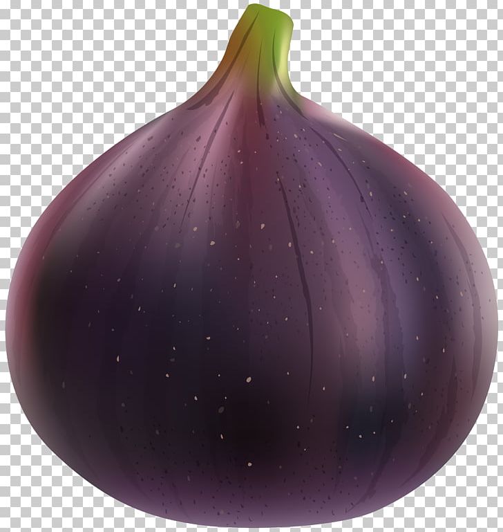 onion clipart purple food