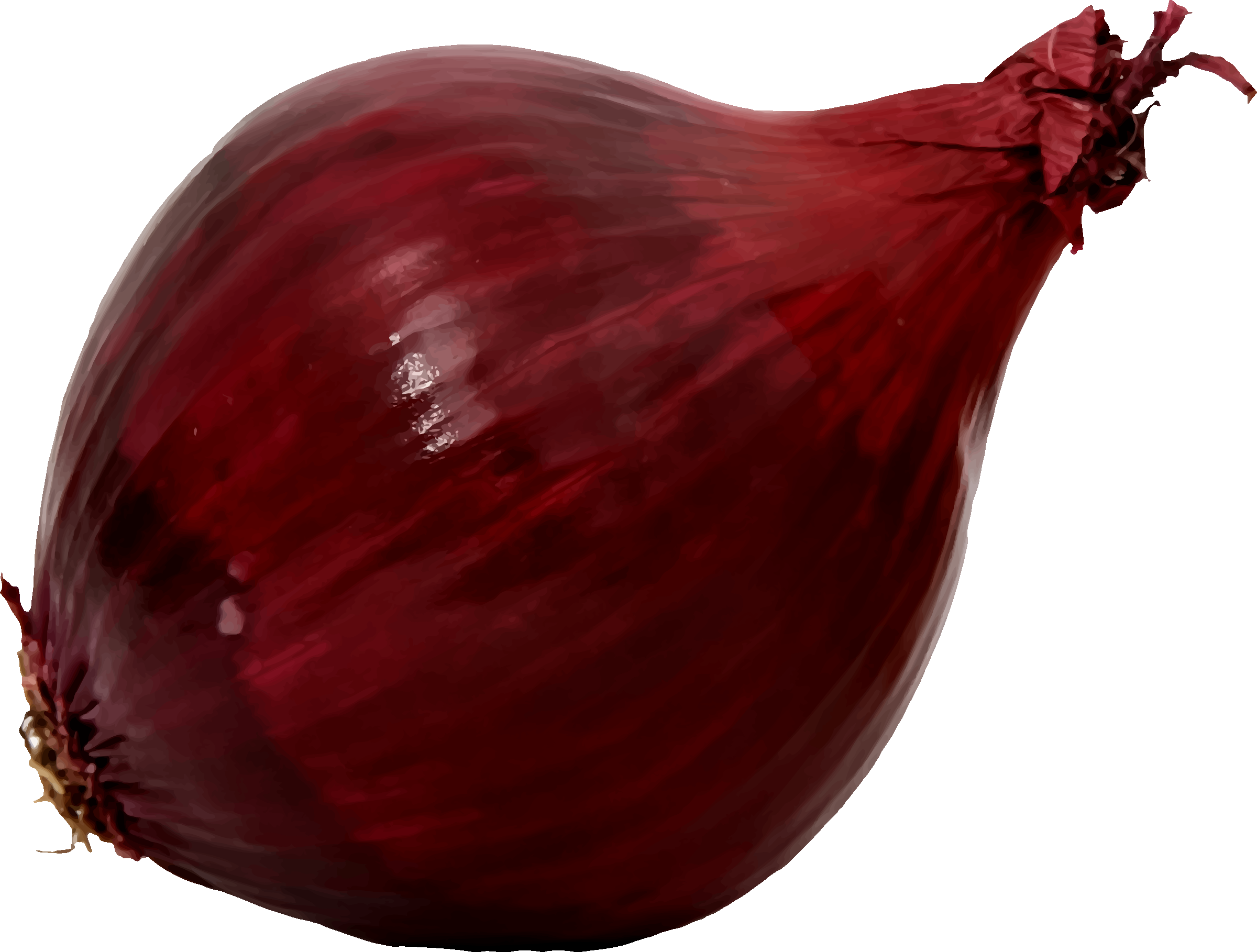 onion clipart red onion