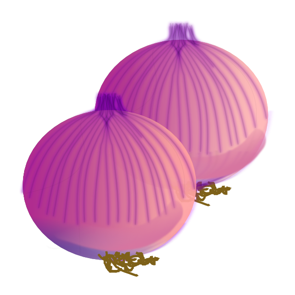 onion clipart red onion