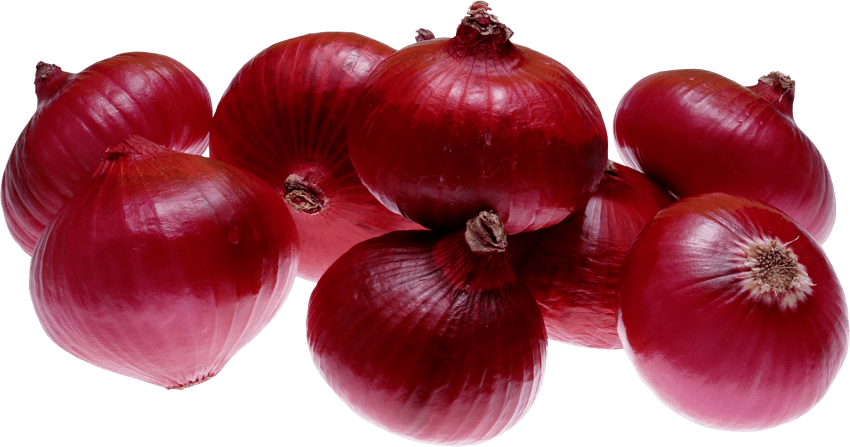Onion clipart shallot. Png free images toppng