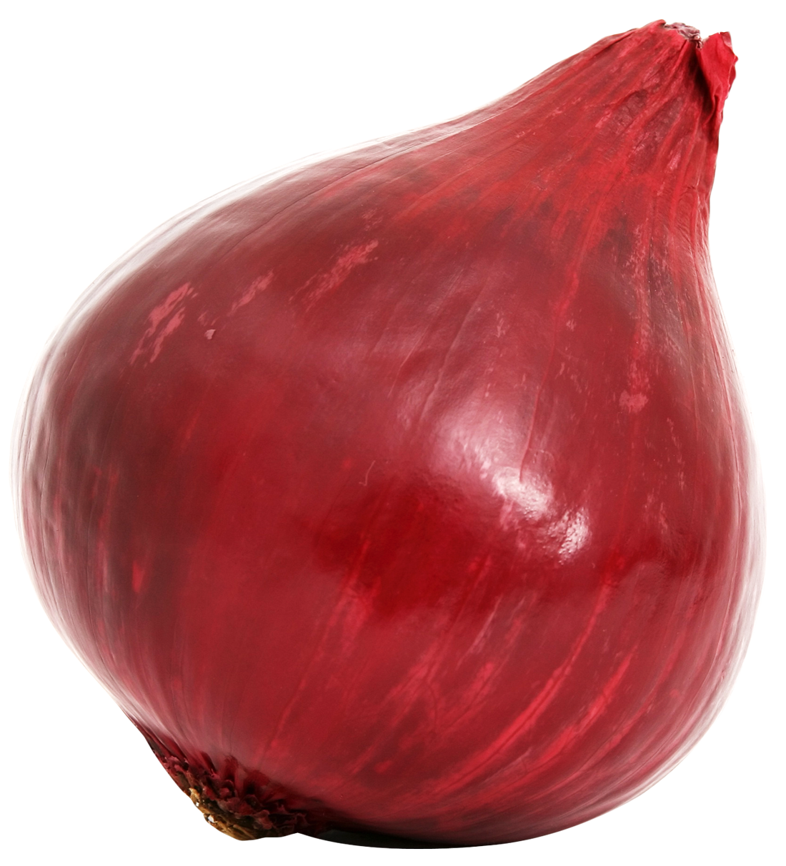 Red bulb png image. Onion clipart shallot