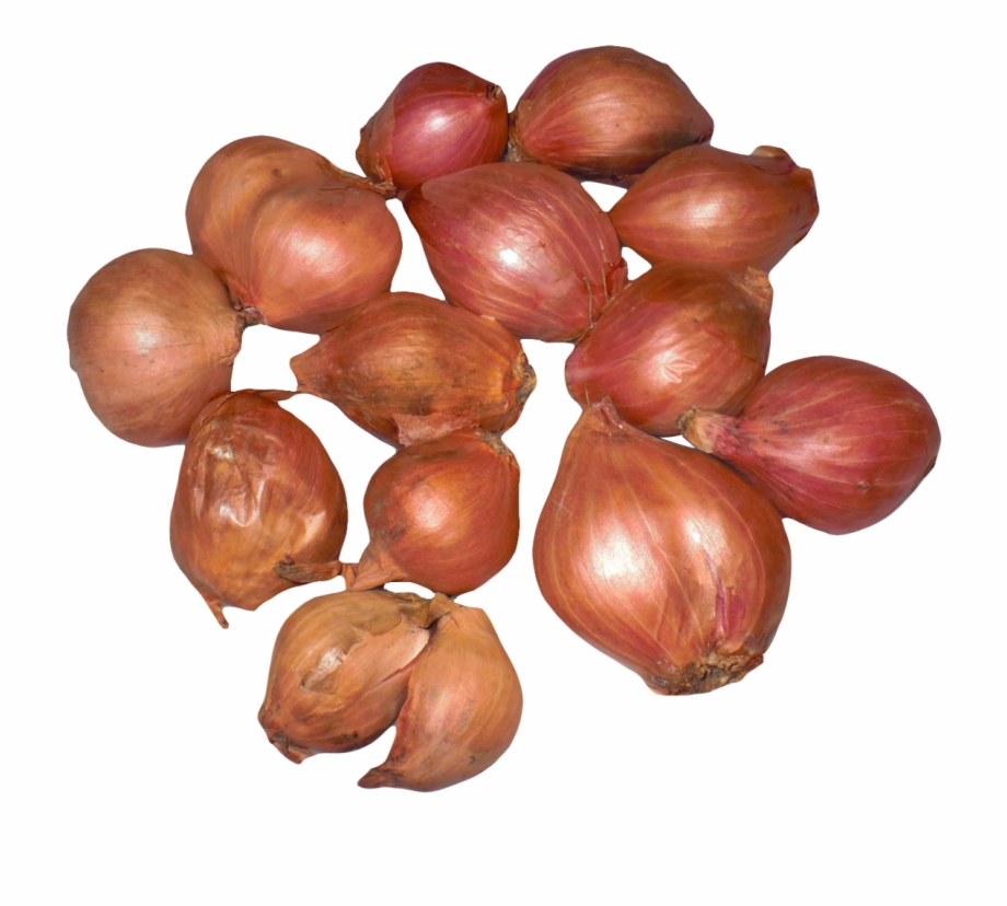 Vegetables bulb veggies onions. Onion clipart shallot
