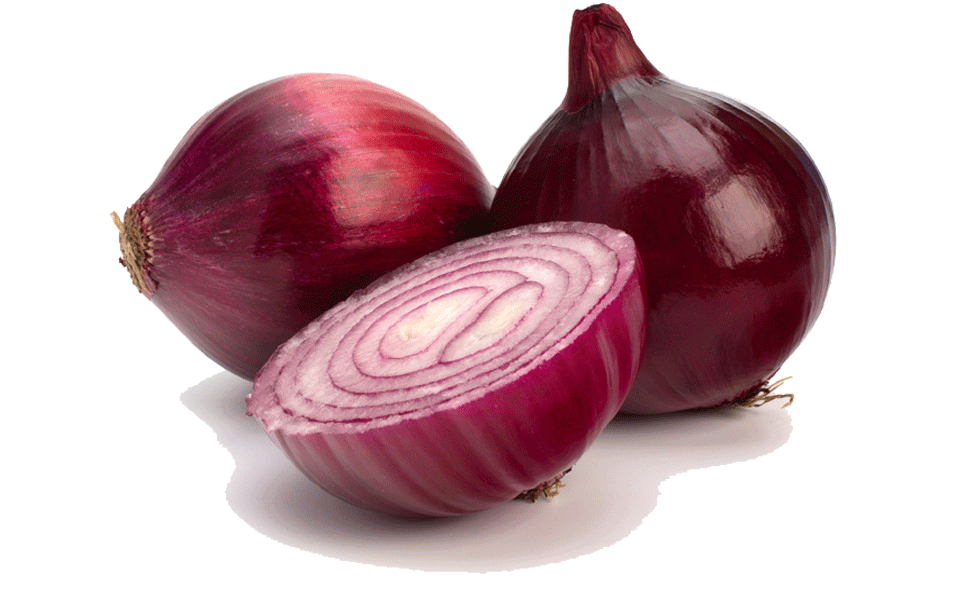 Onion clipart shallot. White clip art vegetable