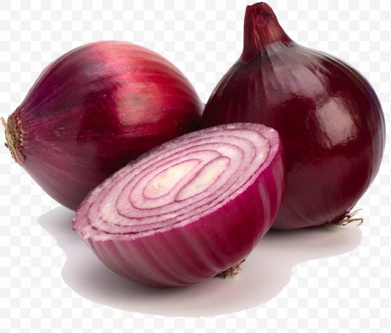 Onion clipart shallot. Red salsa food vegetable