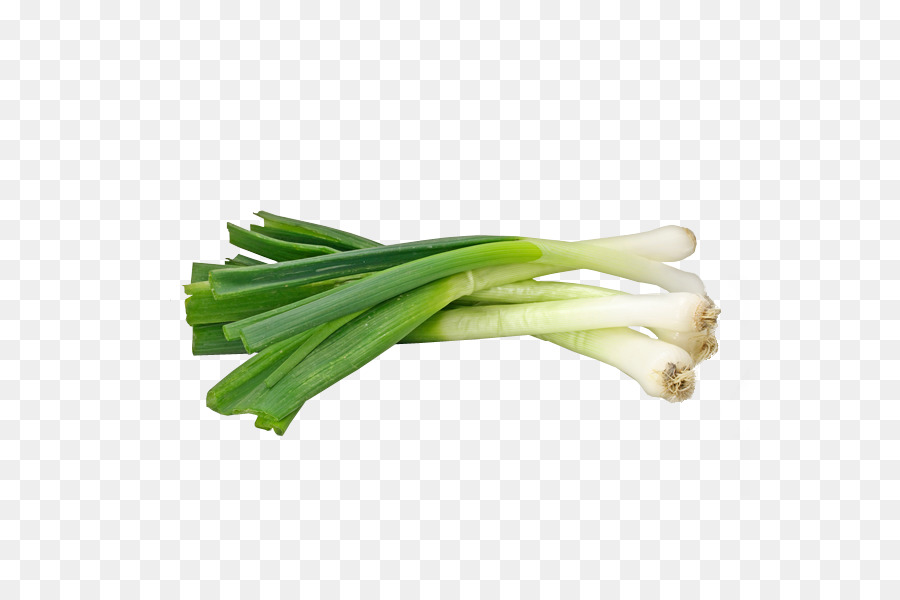 onion clipart spring onion
