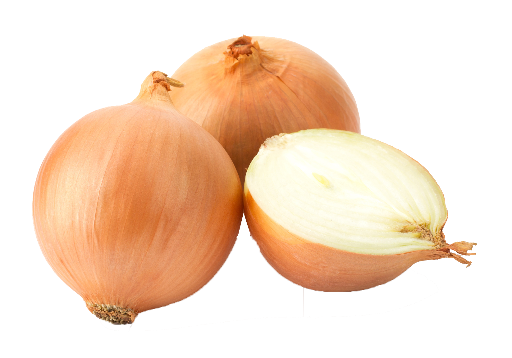 onion clipart transparent background