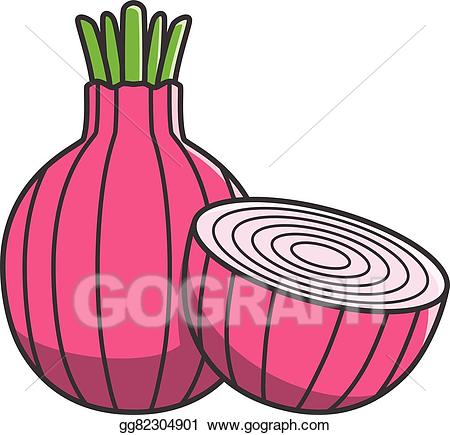Art red drawing gg. Onion clipart vector