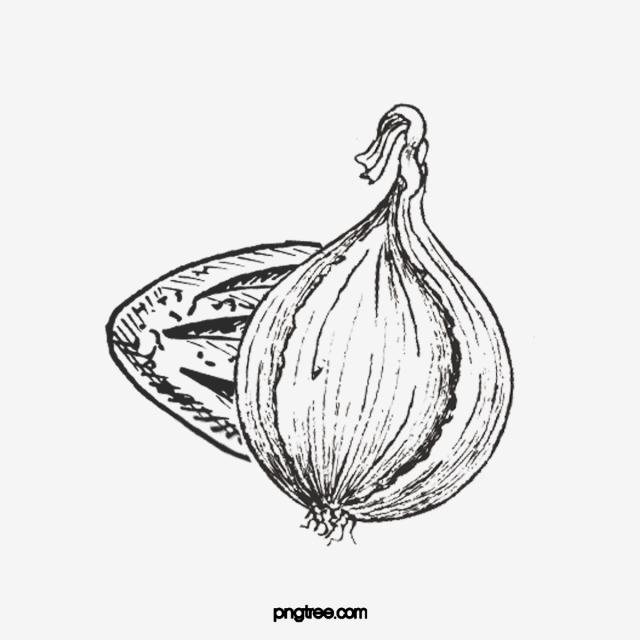 Onion clipart vegetablesblack. Black hand drawn vegetables