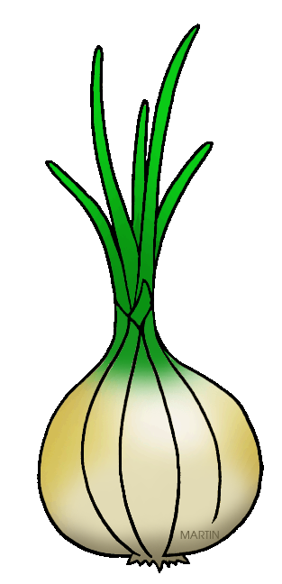 onion clipart vidalia onion