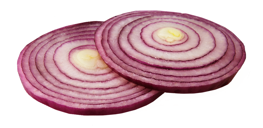 onion clipart violet