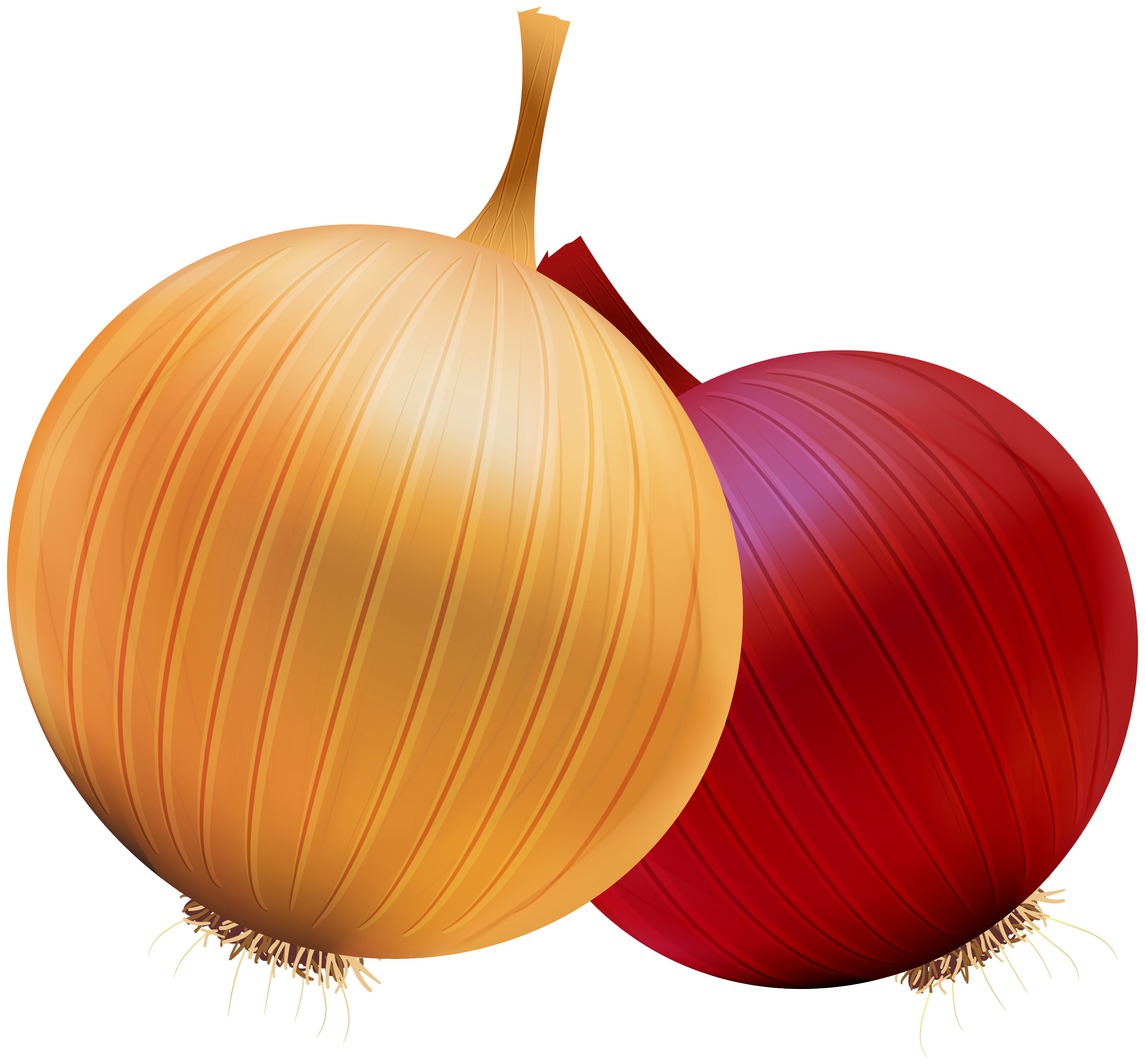Onion and red png. Fish clipart vegetable