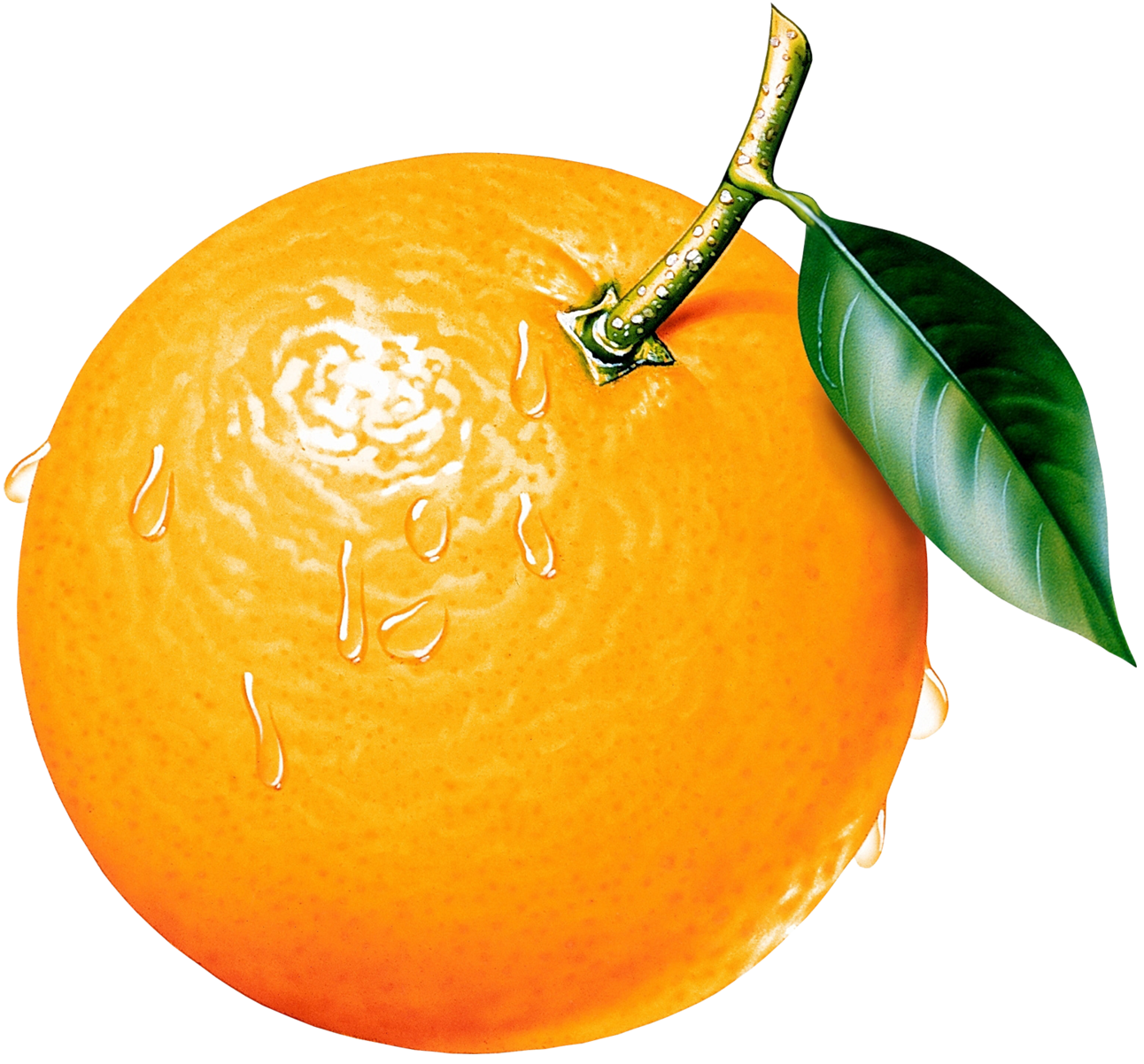 Clipart png orange. Picture gallery yopriceville high
